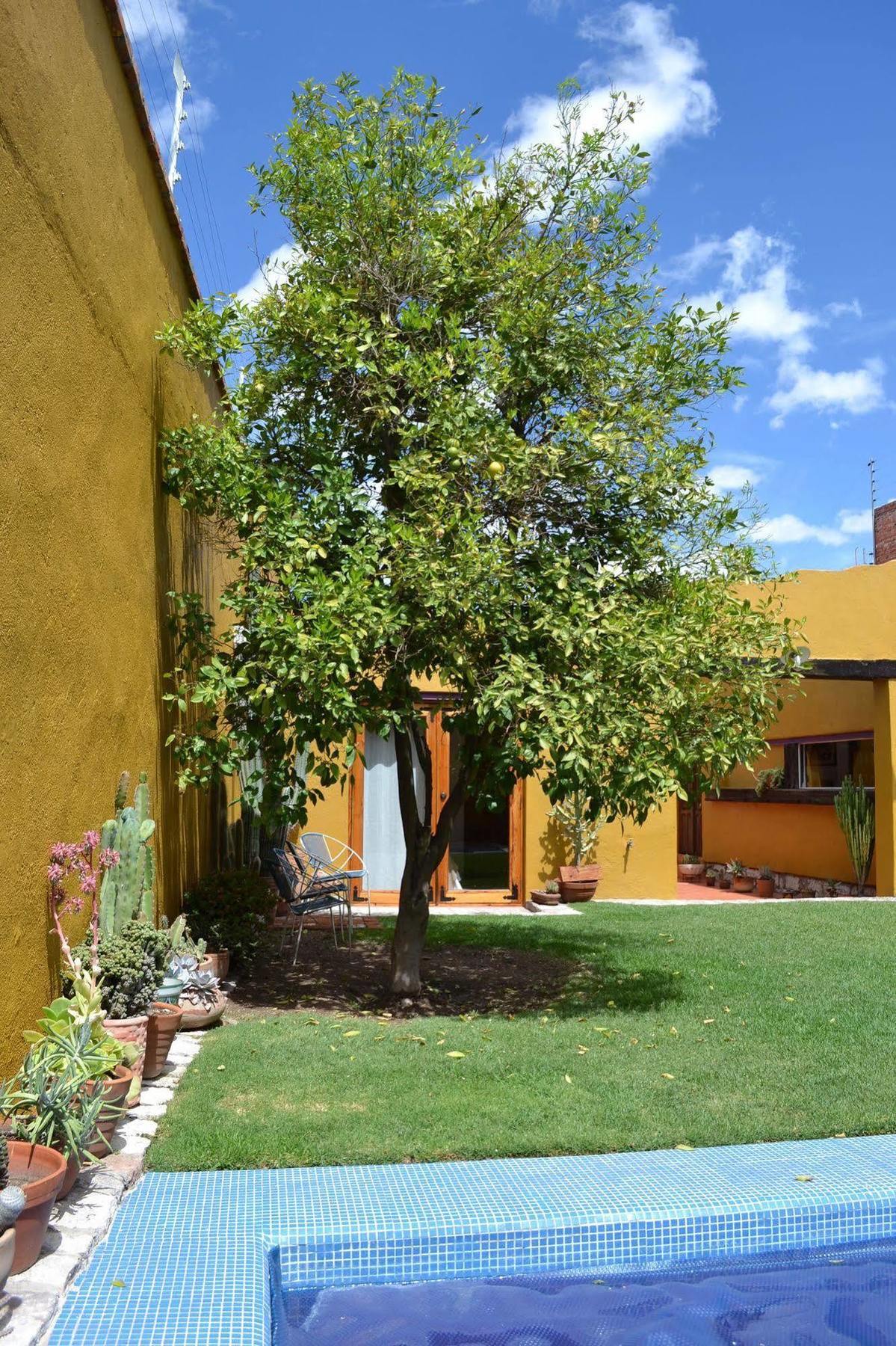 Hotel Casa Catalina San Luis Potosi Luaran gambar